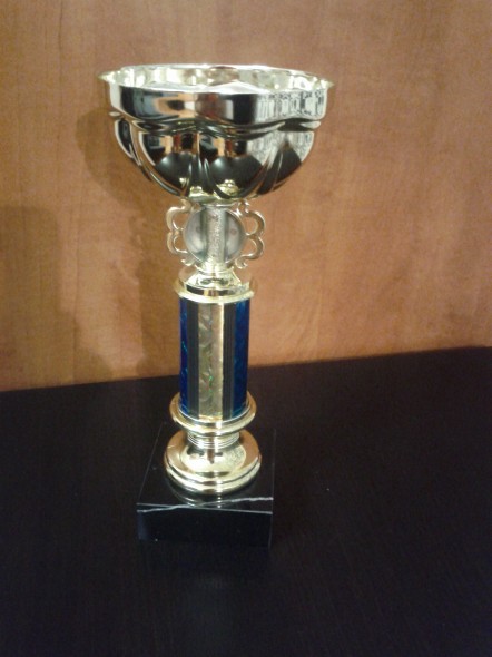 Кубок ко Дню Сетевика